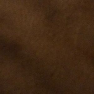 Meet your Posher, Harlan